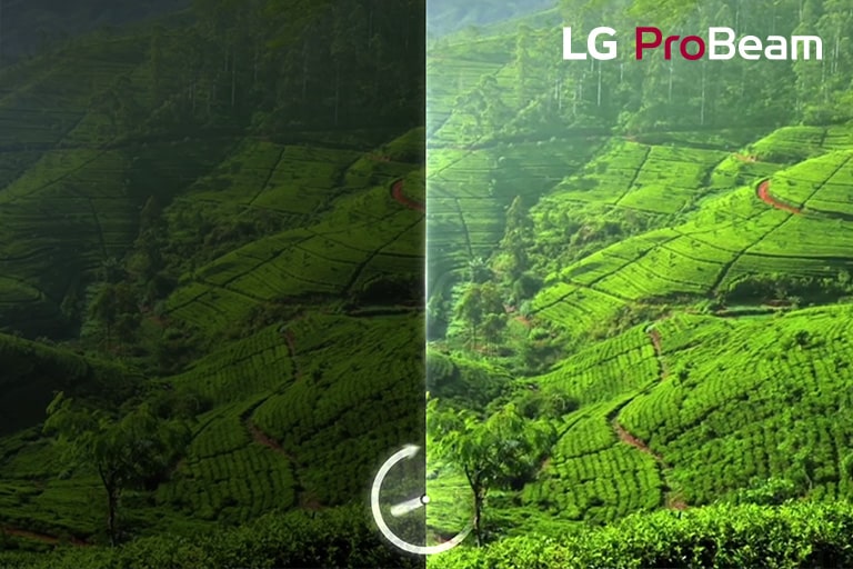 LG BU60PST: Proyector Laser Provea 4K (3840x2160) con 6,000 Lúmenes de  Iluminación