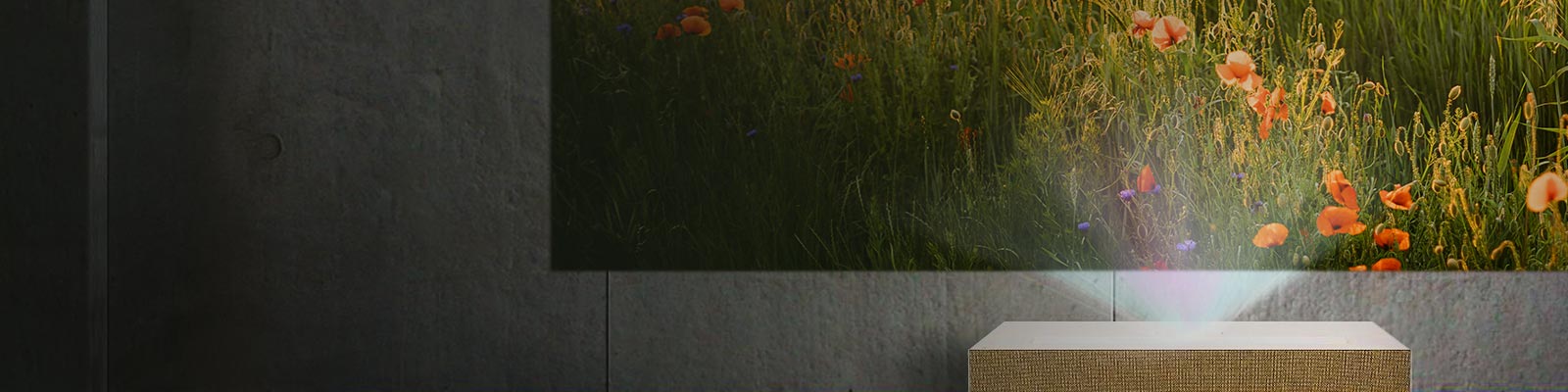 Optimizador de brillo II