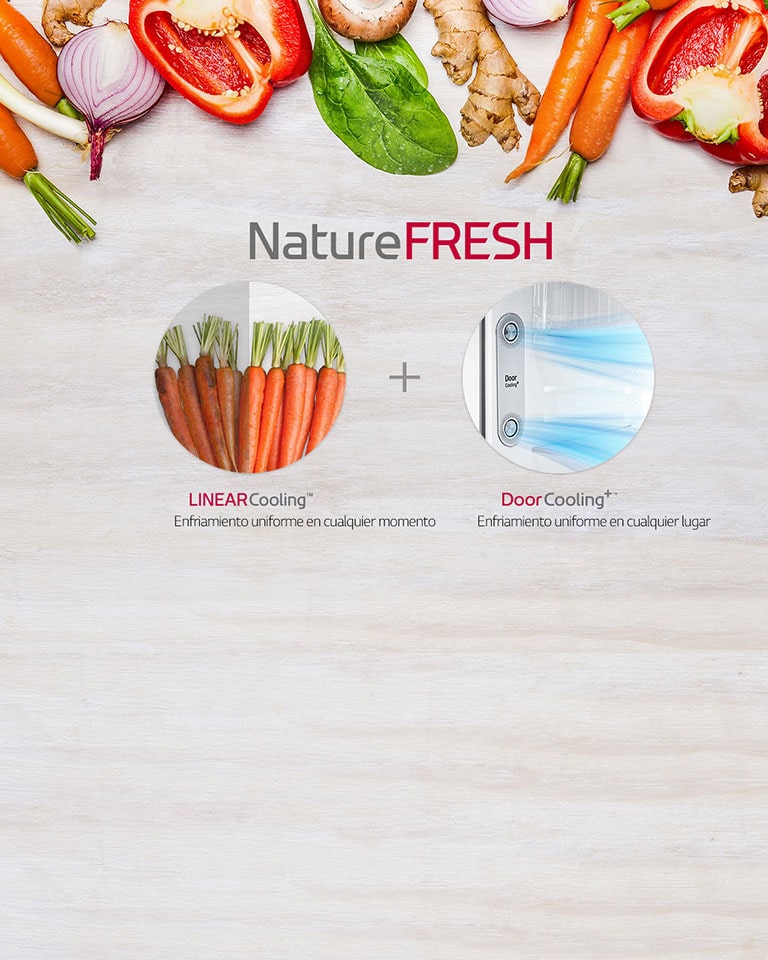 ¿Cómo mantener nuestros alimentos más frescos por más tiempo? La solución es el control preciso de la temperatura