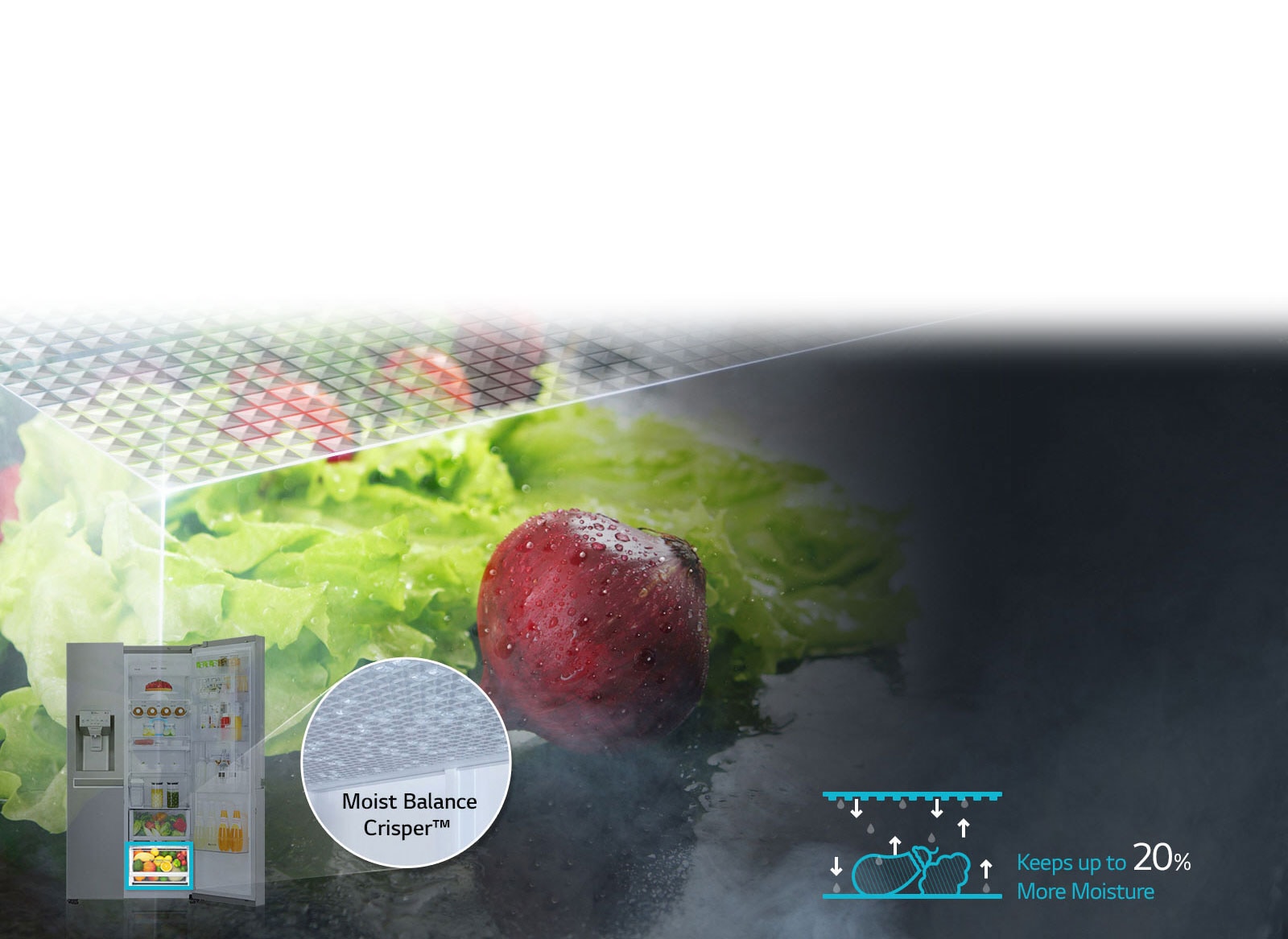 Moist Balance Crisper