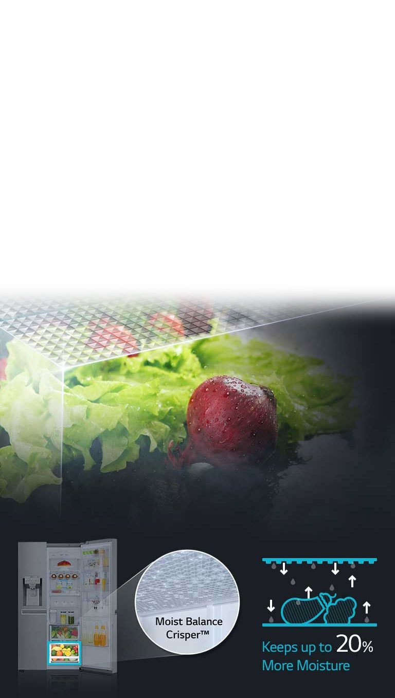 Moist Balance Crisper