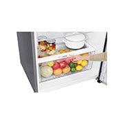 LG 17 pᶟ |Door-in-Door® |Top Freezer |DoorCooling+™ |Compresor linear inverter |Platinum silver |ThinQ™ , LT44MDP, thumbnail 7