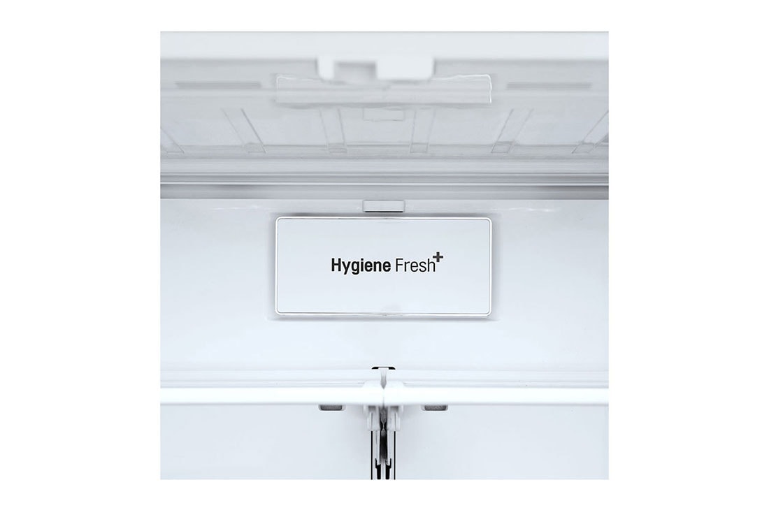 LG Refrigeradora French Door InstaView™ 30p³(Gross)/27.7p³(Net) Door-in-Door™ NatureFRESH™ ThinQ™, LM78SXT, thumbnail 11