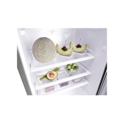 LG 7 pᶟ |Top Freezer |Moist Balance Crisper™ |Smart Inverter |Acero Brillante, GU21WPP, GU21WPP, thumbnail 5