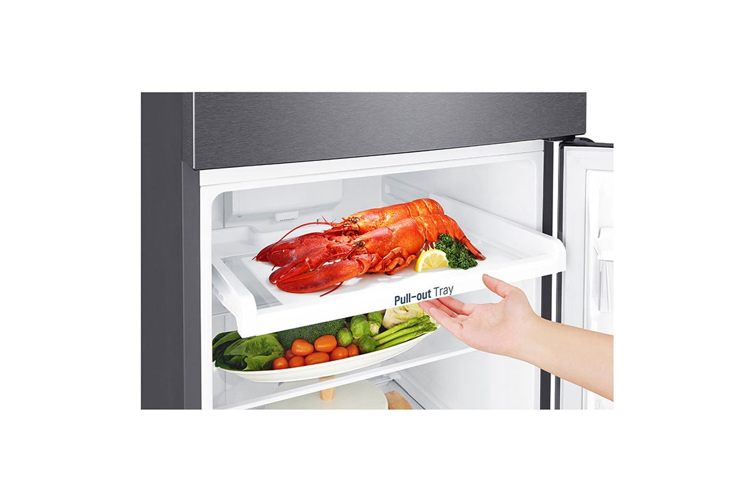 LG 12 pᶟ |Top Freezer |FRESHBalancer™ |Smart Inverter | Platinum Silver |Smart Diagnosis™ (Neto: 11 pᶟ), GT32WPK, thumbnail 10