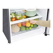 LG 15 pᶟ |Top Freezer |Door Cooling+ |Smart Inverter|Acero Brillante |Smart Diagnosis™ , GT40BDC, thumbnail 6