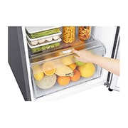 LG Refrigeradora Top Freezer 15pᶟ (Gross) / 14pᶟ (Net) Compresor Smart Inverter, Acero Brillante, GT39BPP, GT39BPP, thumbnail 5