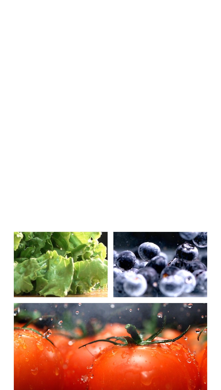 Un video muestra agua goteando de una lechuga, tomates frescos y arándanos brillantes.