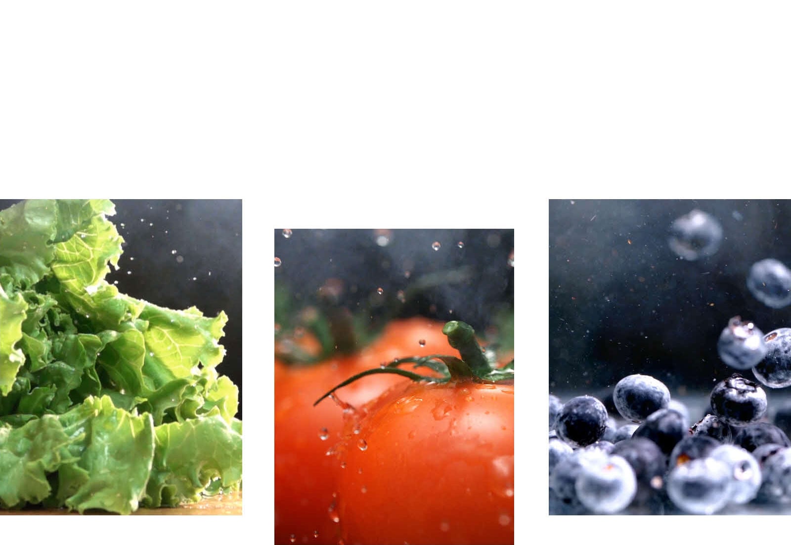 Sellos en Farm Freshness por más tiempo