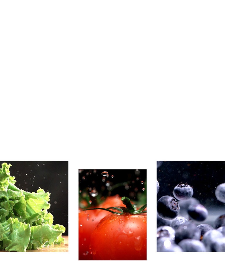 frutas y verduras como lechuga, tomates y arándanos están recién conservadas en el producto.