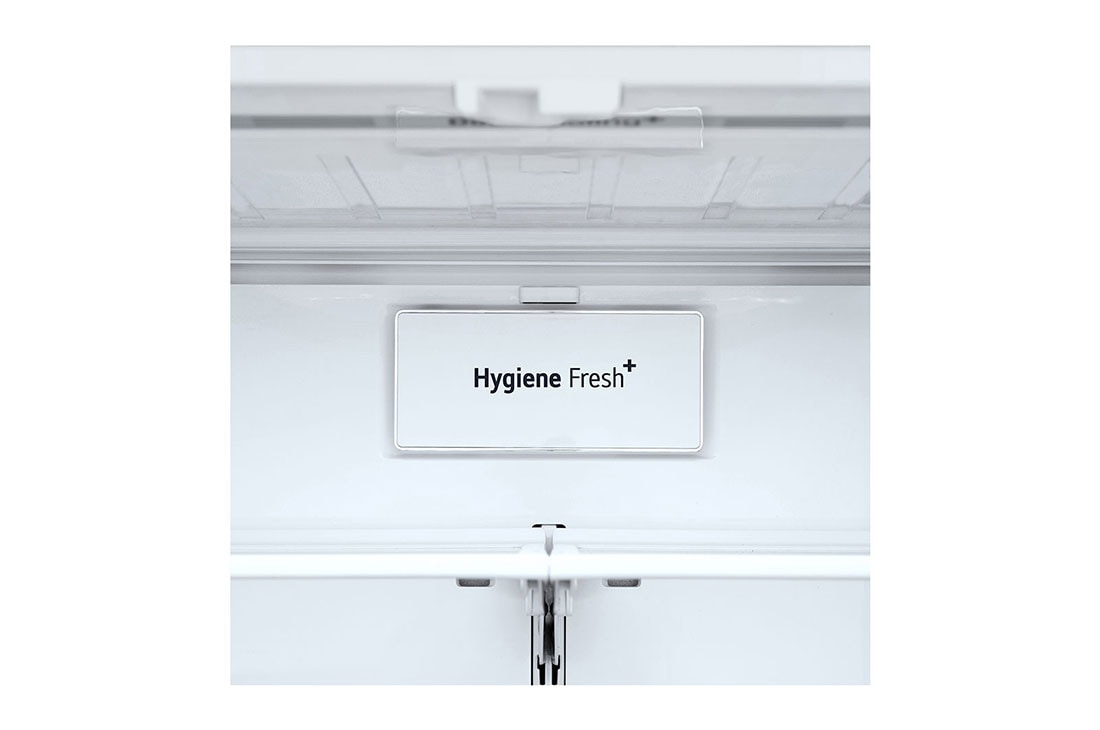 LG Refrigeradora French Door 28p³ (NET)/ 28p³ (Gross) Smart Inverter Multi Air Flow™ ThinQ™, Refrigerador French Door Gran Capacidad 28 pies cúbicos con Dispensador de Agua y Hielos | Smart Inverter, GM78SGT, thumbnail 8