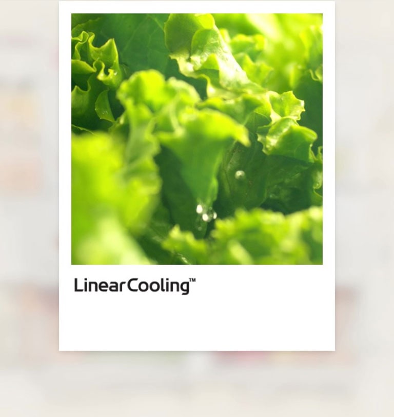 Mostrar la característica LinearCooling™ en un video corto.