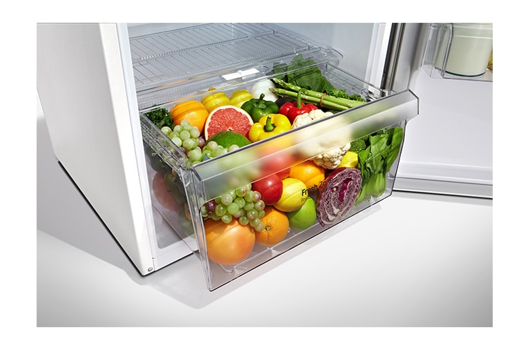 LG Refrigerador | Top Freezer | Inverter compressor | Capacidad 8pies, GT23BPW, thumbnail 9