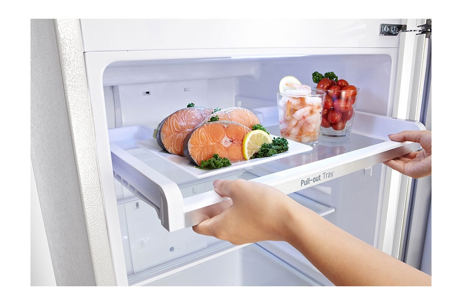 LG Refrigerador | Top Freezer | Inverter compressor | Capacidad 9pies, GT29BPWX, thumbnail 6