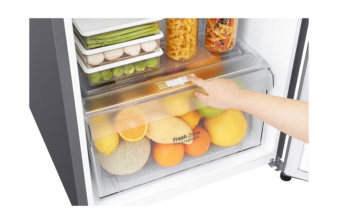 LG Refrigerador | Top Freezer | Inverter compressor | Capacidad 9 cu ft, LT29BPP, thumbnail 4