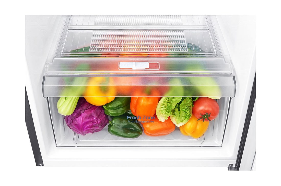 LG Refrigerador | Top Freezer | Inverter compressor | Capacidad 9 cu ft, LT29BPP, thumbnail 5