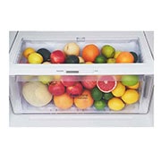 LG 14 pies cúbicos | Top Freezer | Multi Air Flow | Compresor linear inverter | Platino Plata | Smart ThinQ™ , LT43BGP, thumbnail 3