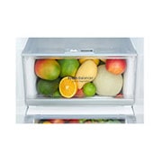 LG 24 pᶟ |InstaView™ Door-in-Door®|Side by Side |Hygiene Fresh⁺ |Compresor linear inverter |Matte Black Steel |ThinQ™ (Neto: 22 pᶟ), LS65SXT, thumbnail 7