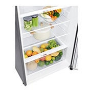LG 15 pᶟ |Top Freezer |Door Cooling+ |Smart Inverter|Acero Brillante |Smart Diagnosis™ , GT40WDC, thumbnail 4