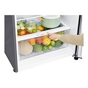 LG 15 pᶟ |Top Freezer |Door Cooling+ |Smart Inverter|Acero Brillante |Smart Diagnosis™ , GT40WDC, thumbnail 5