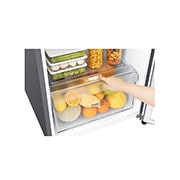 LG 10 pᶟ |Top Freezer |DoorCooling+™ |Smart Inverter |Acero Brillante |Smart Diagnosis™, GT29WDC, thumbnail 5