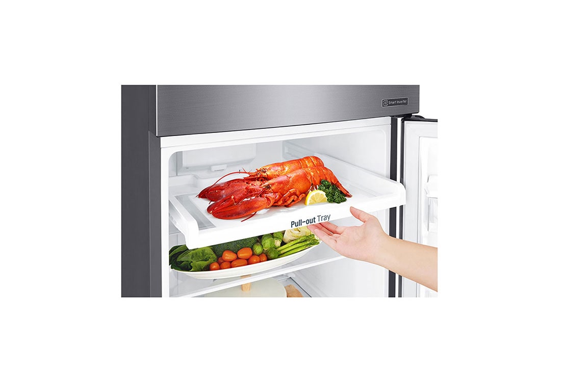 LG 10 pᶟ |Top Freezer |DoorCooling+™ |Smart Inverter |Acero Brillante |Smart Diagnosis™, GT29WDC, thumbnail 4