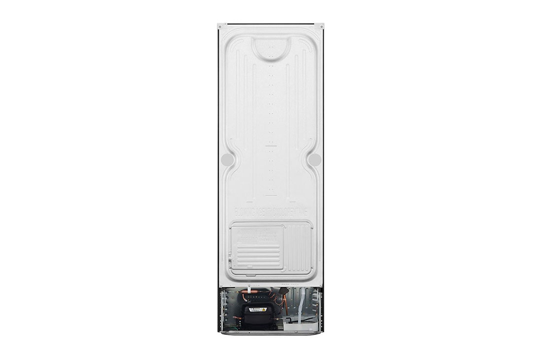 LG 10 pᶟ |Top Freezer |DoorCooling+™ |Smart Inverter |Acero Brillante |Smart Diagnosis™, GT29BDC, thumbnail 15