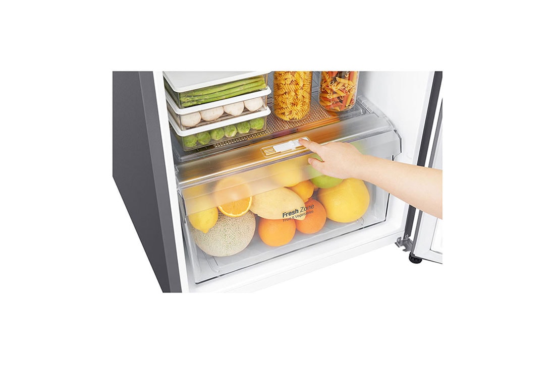 LG 10 pᶟ |Top Freezer |DoorCooling+™ |Smart Inverter |Acero Brillante |Smart Diagnosis™, GT29BDC, thumbnail 5