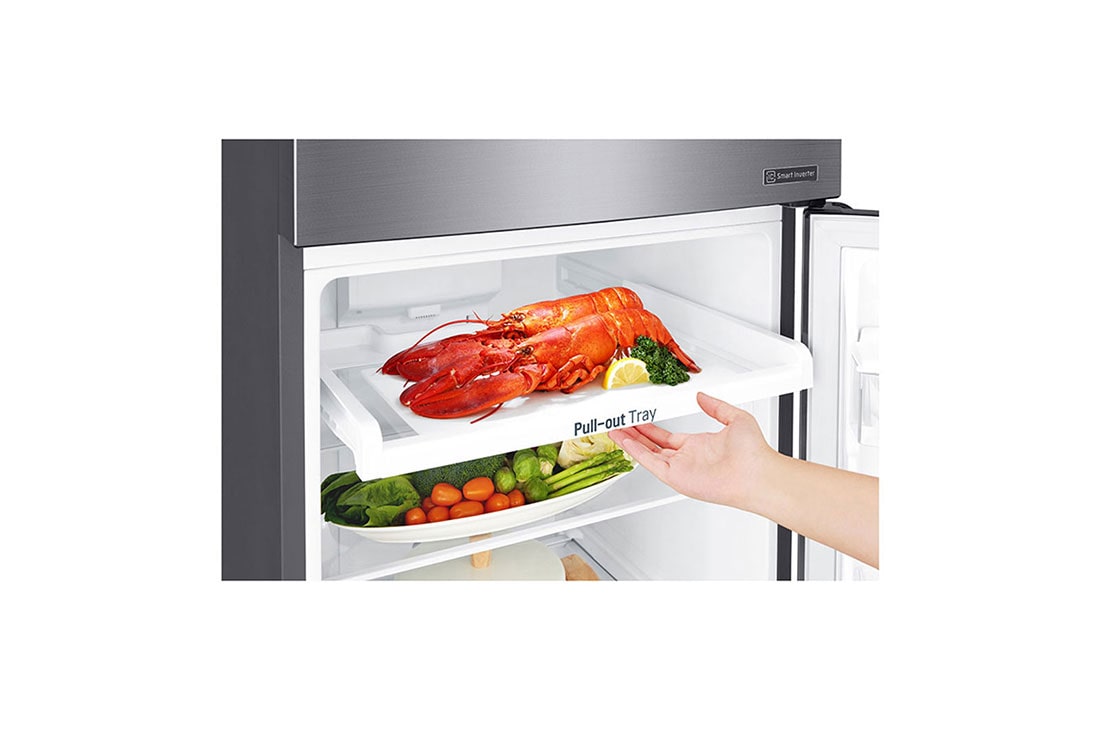 LG 10 pᶟ |Top Freezer |DoorCooling+™ |Smart Inverter |Acero Brillante |Smart Diagnosis™, GT29BDC, thumbnail 4