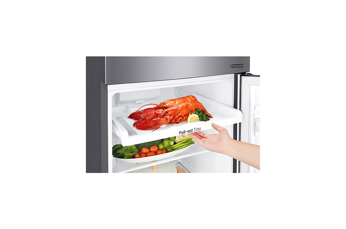 LG 12 pᶟ |Top Freezer |FRESHBalancer™ |Smart Inverter |Acero Brillante |Smart Diagnosis™, GT32BDC, thumbnail 6