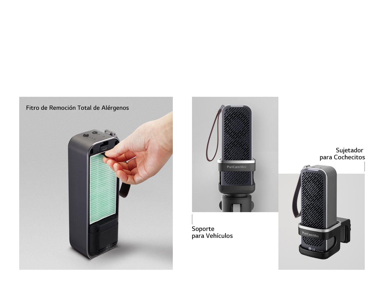 Descubre la Perfección