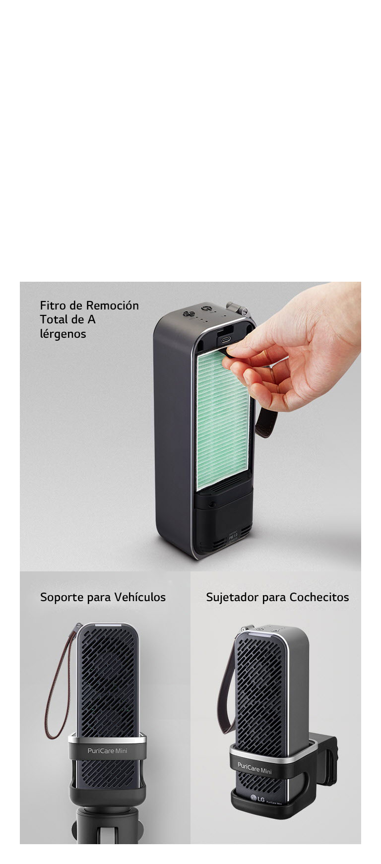 Descubre la Perfección