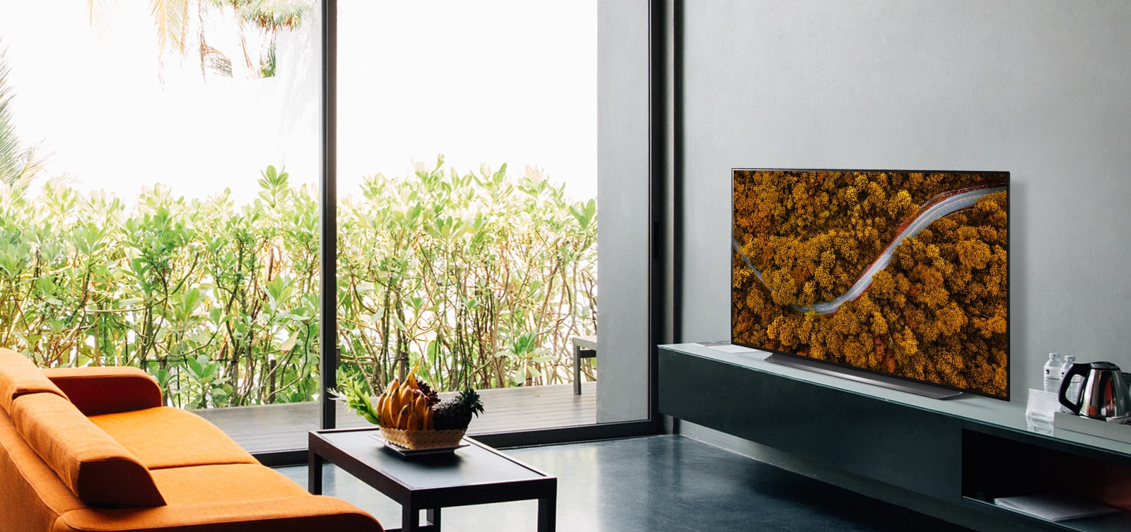 Sala de estar con un sofá y una TV que muestra una vista aérea de la naturaleza