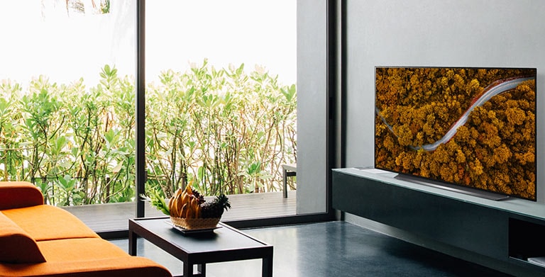 Sala de estar con un sofá y una TV que muestra una vista aérea de la naturaleza