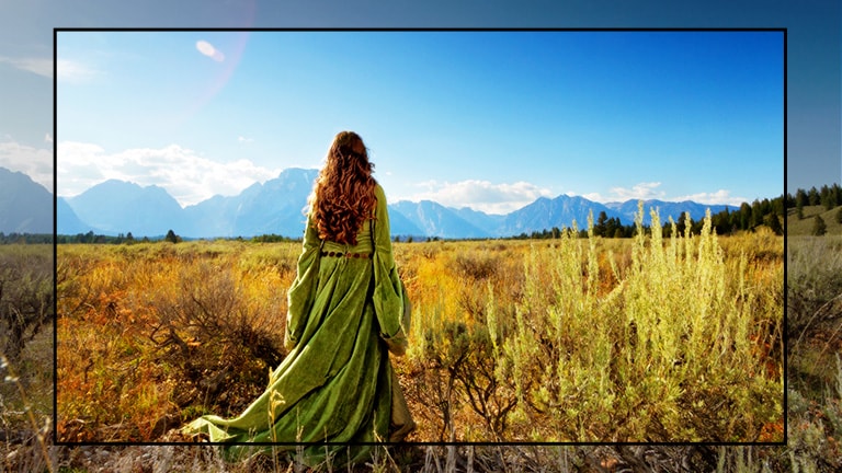 Una pantalla de televisión que muestra una escena de una película de fantasía con una mujer de pie en los campos mirando hacia a las montañas.