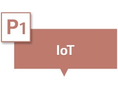 Dice "IoT" en el cuadro de texto.