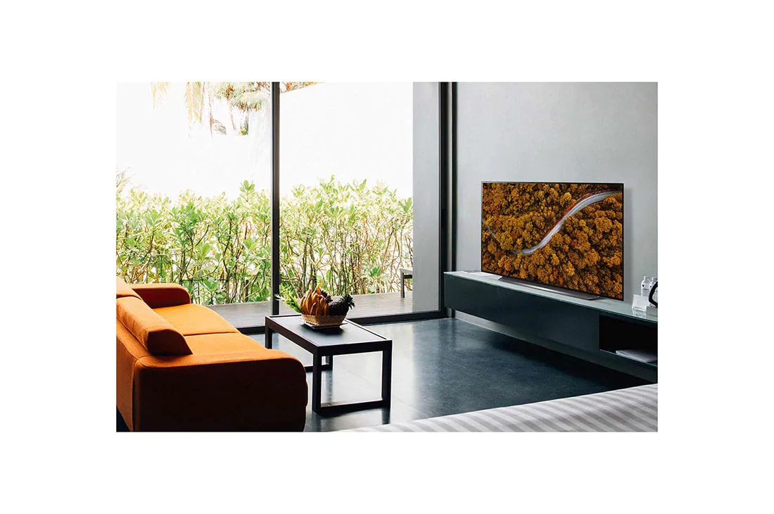 LG OLED TV 55'' 4K | Pixeles con Auto- Iluminación | UHD 4K SMART TV | Ultra HD LED | Procesador α9 Gen 3 | ThinQ™ AI | Dolby Vision- Atmos, Sala de estar con sofá y TV que muestra una vista aérea de la naturaleza., OLED55CXPUA, thumbnail 12