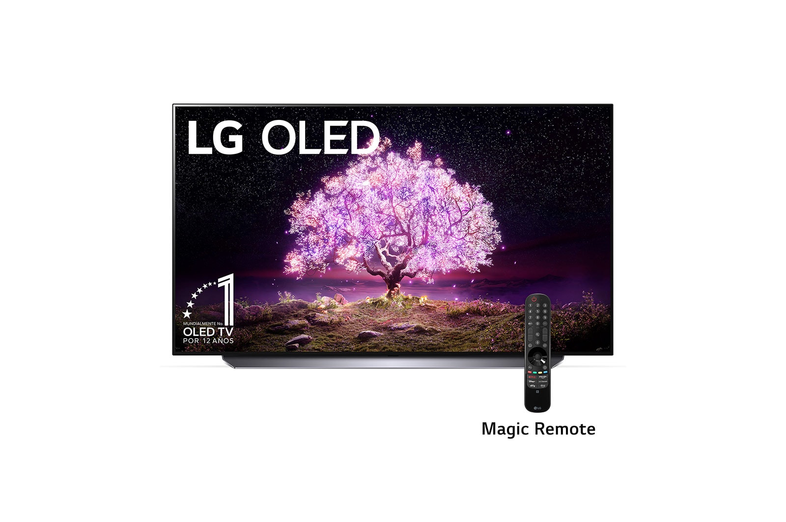 LG OLEDテレビ OLED48C1PJB ジャンク OLED48C1PJB_AJLG_EJJP_JP_C-