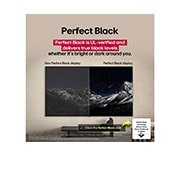 LG Smart TV LG OLED evo AI C5 4K de 77 pulgadas 2025, Un loro colorido en ultra alta definición sobre un fondo negro. A su alrededor hay gotas de agua suspendidas en el aire., OLED77C5PSA, thumbnail 7