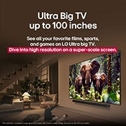 LG 65 pulgadas LG QNED evo AI QNED85 4K Smart TV 2025, Loro en la rama de un árbol en colores vivos., 65QNED85ASG, thumbnail 8