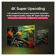 LG 75 pulgadas LG QNED AI QNED82 4K Smart TV 2025, Splashes of paint burst from the floor up in diverse colors. Intertrek certification for 100% Color Volume to DCI-P3. The title talks about LG’s new and unique wide color gamut technology that allows , 75QNED82ASG, thumbnail 7