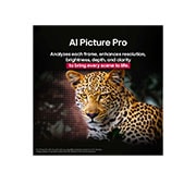 LG 77 pulgadas LG OLED AI B5 4K Smart TV 2025, USP card, OLED77B5PSA, thumbnail 8