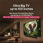 LG 75 pulgadas LG QNED evo AI QNED85 4K Smart TV 2025, Una joven y un perro sentados frente a un LG QNED TV colocado en una pared en el que se ven tres elefantes caminando hacia fuera por encima de la LG Soundbar. , 75QNED85ASG, thumbnail 8