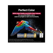 LG 55 pulgadas LG OLED evo AI C5 4K Smart TV 2025, Un loro colorido en ultra alta definición sobre un fondo negro. A su alrededor hay gotas de agua suspendidas en el aire., OLED55C5PSA, thumbnail 8