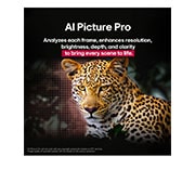 LG 55 pulgadas LG OLED evo AI C5 4K Smart TV 2025, Leopardo en el bosque en colores vivos y con gran detalle., OLED55C5PSA, thumbnail 9