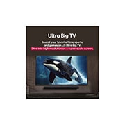 LG 43'' LG UHD AI UA80 AI 4K Smart TV 2025, LG TV con una pantalla impresionantemente grande montada en una pared encima de una LG Soundbar en una sala de estar de estilo moderno., 43UA8000PSB, thumbnail 8