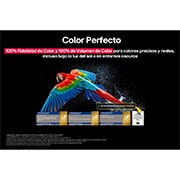 LG 83 pulgadas LG OLED AI B5 4K Smart TV 2025, Colorful parrot in ultra-high definition against a black background. Water drops are suspended in the air all around it. The image showcases Perfect Color as each different hue on the parrot's body is, OLED83B5PSA, thumbnail 9