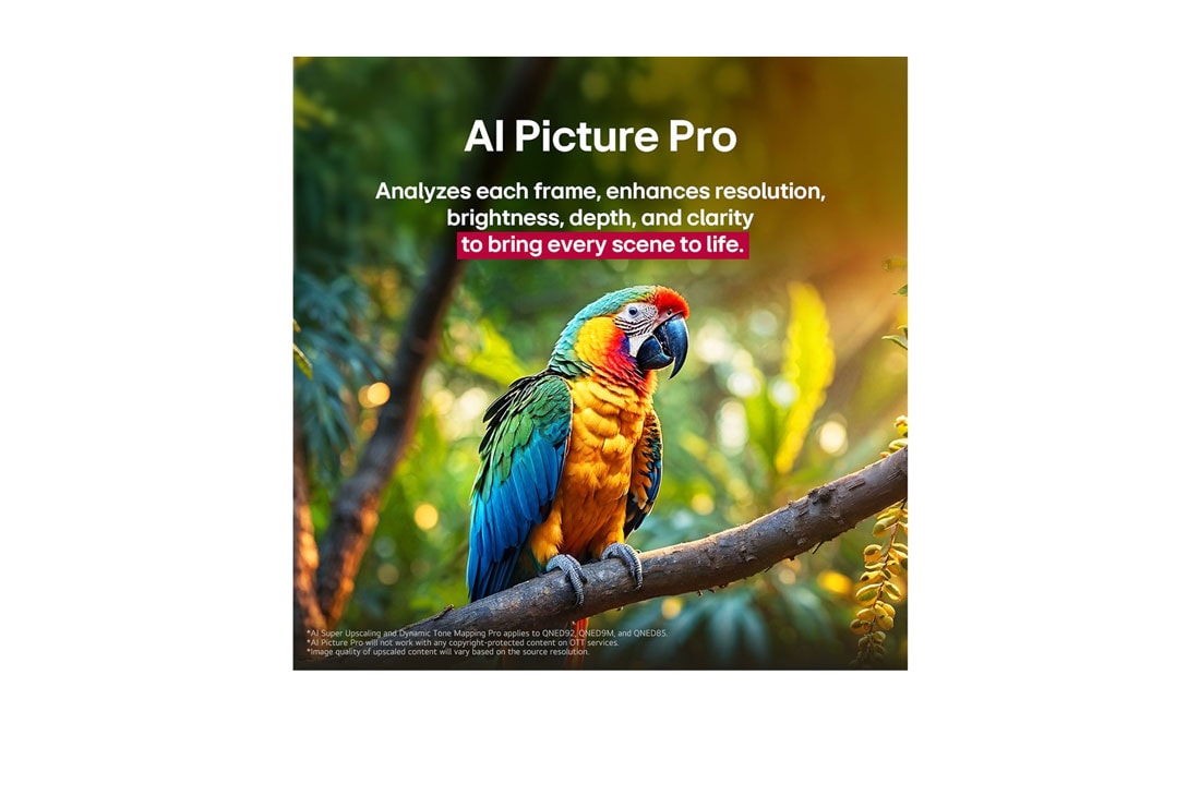 LG 100 pulgadas LG QNED evo AI QNED86 4K Smart TV 2025, Loro en la rama de un árbol en colores vivos. El título habla de cómo LG Al Picture Pro ha conseguido impresionantes mejoras visuales en la resolución, el brillo, la profundidad y la claridad de la es, 100QNED86AS, thumbnail 8