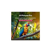 LG 100 pulgadas LG QNED evo AI QNED86 4K Smart TV 2025, Loro en la rama de un árbol en colores vivos. El título habla de cómo LG Al Picture Pro ha conseguido impresionantes mejoras visuales en la resolución, el brillo, la profundidad y la claridad de la es, 100QNED86AS, thumbnail 8