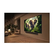 LG 100 pulgadas LG QNED evo AI QNED86 4K Smart TV 2025, Una joven y un perro sentados frente a una LG QNED TV montada en una pared en la que se ven tres elefantes caminando hacia fuera por encima de la LG Soundbar. El título habla de cómo las escenas son m, 100QNED86AS, thumbnail 14